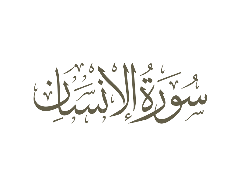 İnsan